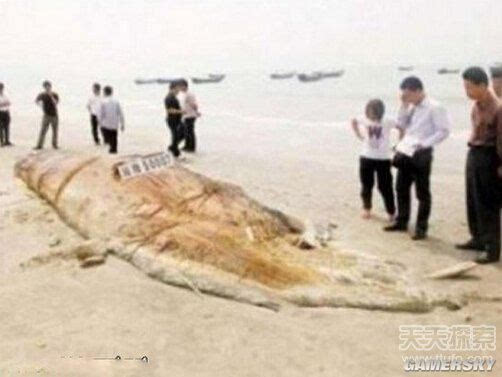 南非海怪之谜 披白毛的怪兽，似蛇非蛇792 / 作者:UFO爱好者 / 帖子ID:85889