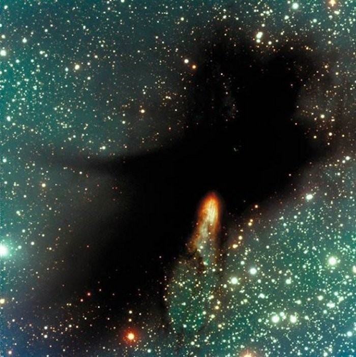 外星生命能有多大,会有像星系一样大的生物吗?325 / 作者:UFO爱好者 / 帖子ID:87980 外星生命能有多大,会有像星系一样大的生物吗?325 / 作者:UFO爱好者 / 帖子ID:87980