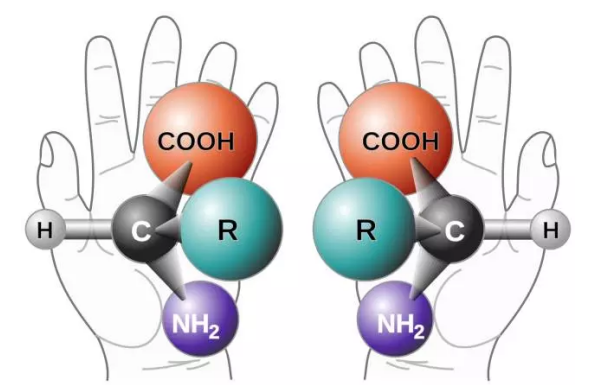 我们能不能制造出镜像生命？502 / 作者:UFO爱好者 / 帖子ID:87777