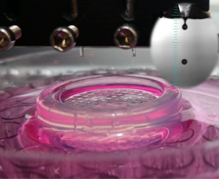 3D打印生物组织的五大应用方向198 / 作者:UFO爱好者 / 帖子ID:87488 3D打印生物组织的五大应用方向198 / 作者:UFO爱好者 / 帖子ID:87488
