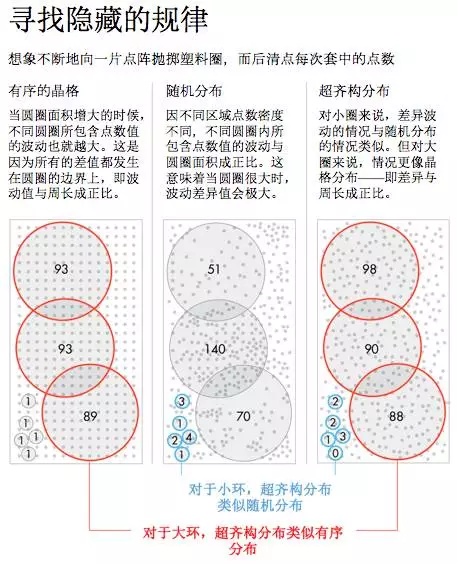 鸟类眼睛中隐藏着不为人知的自然秩序214 / 作者:UFO爱好者 / 帖子ID:87486