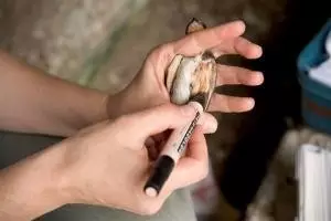 新物种的出现,可能只因雌性选择“孩他爹”的品味不同459 / 作者:UFO爱好者 / 帖子ID:87476 新物种的出现,可能只因雌性选择“孩他爹”的品味不同459 / 作者:UFO爱好者 / 帖子ID:87476