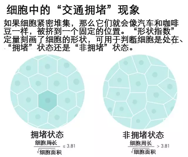 理论物理学也能用来攻克癌症转移难题?459 / 作者:UFO爱好者 / 帖子ID:87017 理论物理学也能用来攻克癌症转移难题?459 / 作者:UFO爱好者 / 帖子ID:87017