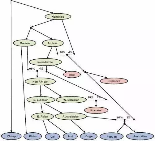 基因证明非洲外的人类都是同一批冒险者的后代353 / 作者:UFO爱好者 / 帖子ID:87002