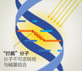 拦截”系统： 剔除血液病原体504 / 作者:UFO爱好者 / 帖子ID:86930