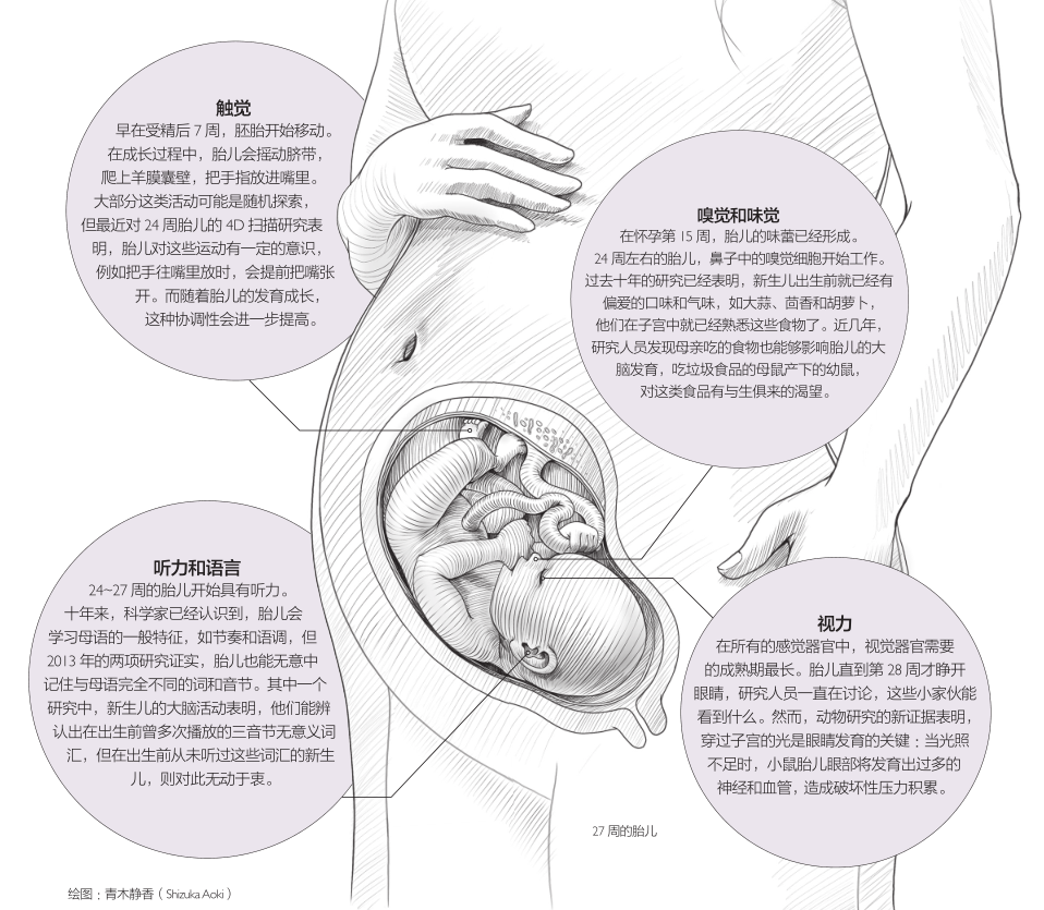 胎儿拥有感知能力468 / 作者:UFO爱好者 / 帖子ID:86926