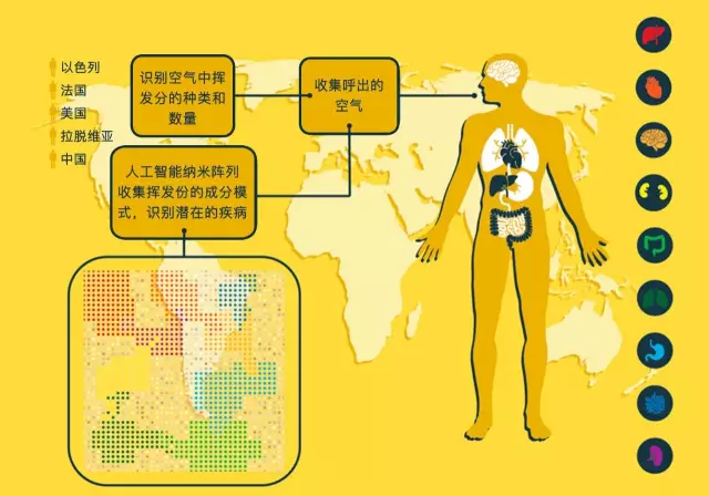 通过呼气检测疾病246 / 作者:UFO爱好者 / 帖子ID:86471 通过呼气检测疾病246 / 作者:UFO爱好者 / 帖子ID:86471