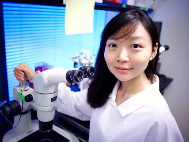 培育基因改造猪,给人提供移植器官709 / 作者:UFO爱好者 / 帖子ID:86319 培育基因改造猪,给人提供移植器官709 / 作者:UFO爱好者 / 帖子ID:86319