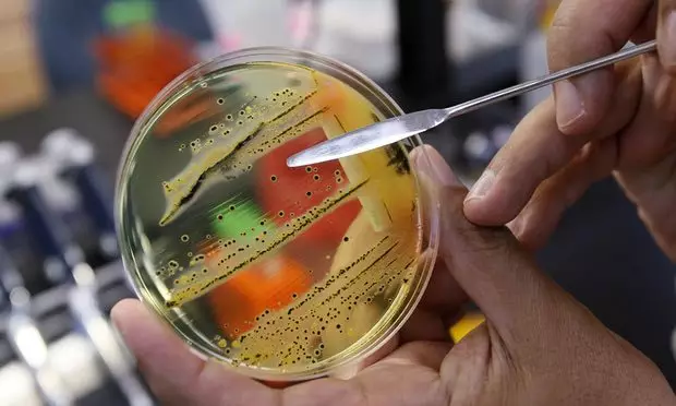 WHO权威发布：对人类健康威胁最大的12类细菌434 / 作者:UFO爱好者 / 帖子ID:86291