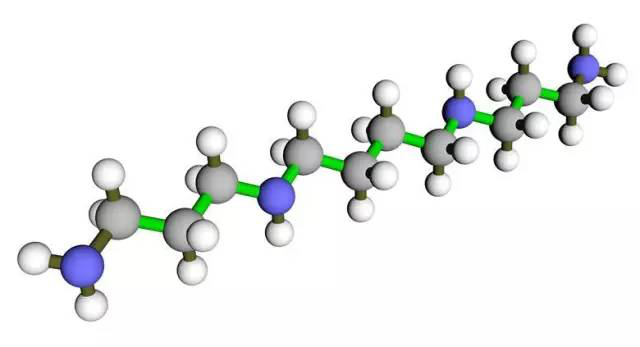 精胺：来自精液的“益寿分子”195 / 作者:UFO爱好者 / 帖子ID:86259