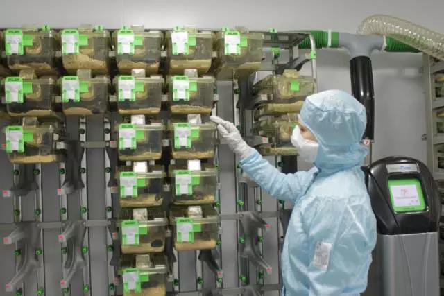 牺牲，伙伴，还是捣蛋鬼？——生命科学实验室里的关键成员591 / 作者:UFO爱好者 / 帖子ID:86182