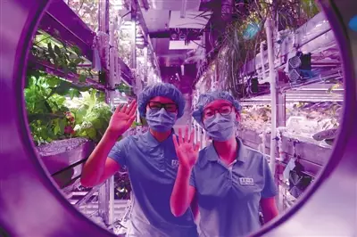 北航再造“生物圈2号”：持续一年，挑战98%封闭度607 / 作者:UFO爱好者 / 帖子ID:86180