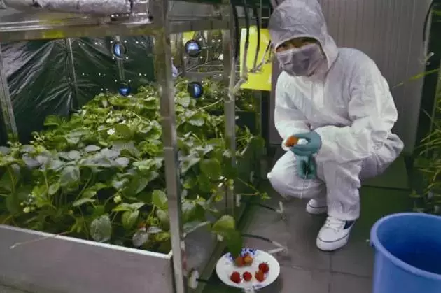 北航再造“生物圈2号”：持续一年，挑战98%封闭度926 / 作者:UFO爱好者 / 帖子ID:86180