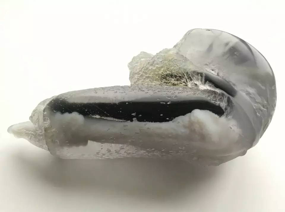 科学家带上飞机的那些奇葩物品324 / 作者:UFO爱好者 / 帖子ID:86142