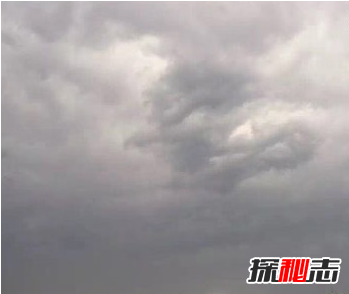 飞机上拍到真龙,真龙现身征兆着什么?866 / 作者:UFO爱好者 / 帖子ID:105598