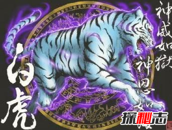 四大神兽真的存在过吗 有人拍到了四大神兽(有图有真相)960 / 作者:UFO爱好者 / 帖子ID:99503