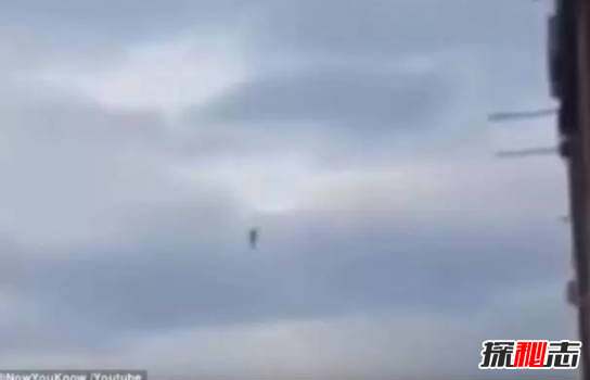 有人拍到奥特曼 奥特曼并不真实存在（谣言)726 / 作者:UFO爱好者 / 帖子ID:105592