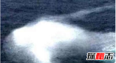 揭巨人之谜,卫星拍到巨人像奥特曼和绿巨人(地图查真相)694 / 作者:UFO爱好者 / 帖子ID:103425