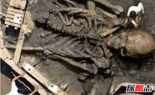 揭巨人之谜,卫星拍到巨人像奥特曼和绿巨人(地图查真相)431 / 作者:UFO爱好者 / 帖子ID:103425