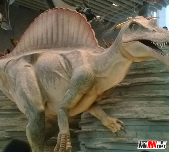 有人拍到了大恐龙,恐龙现在还存在吗?90 / 作者:UFO爱好者 / 帖子ID:105565