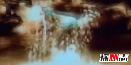 有人拍到了大恐龙,恐龙现在还存在吗?584 / 作者:UFO爱好者 / 帖子ID:105565