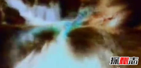 有人拍到了大恐龙,恐龙现在还存在吗?995 / 作者:UFO爱好者 / 帖子ID:105565