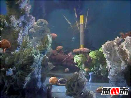 有人拍到了金箍棒，金箍棒惊现孙悟空古墓中702 / 作者:UFO爱好者 / 帖子ID:105528