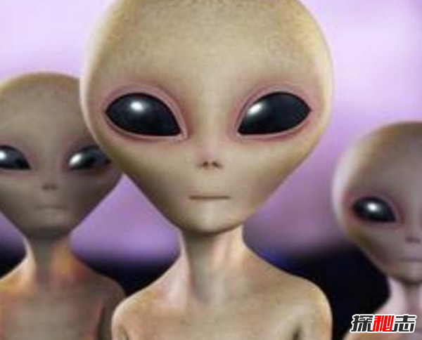 俄罗斯女孩用冰箱保存2年处星人尸体(长60厘米)159 / 作者:UFO爱好者 / 帖子ID:98393