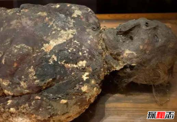美国穆特博物馆肥皂女尸,重口味分分钟想吐(腐烂女尸成肥皂)256 / 作者:UFO爱好者 / 帖子ID:105426