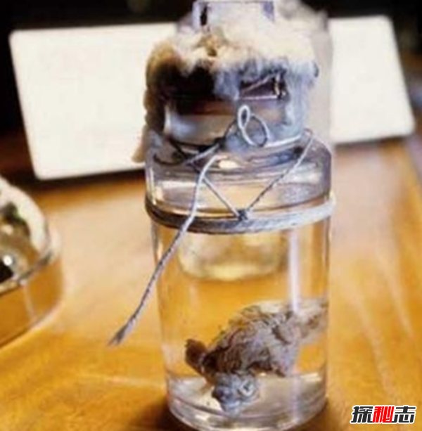 美国穆特博物馆肥皂女尸,重口味分分钟想吐(腐烂女尸成肥皂)24 / 作者:UFO爱好者 / 帖子ID:105426