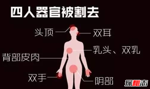 中国十大已破杀人惨案,曝杀人案背后的真相63 / 作者:UFO爱好者 / 帖子ID:105258