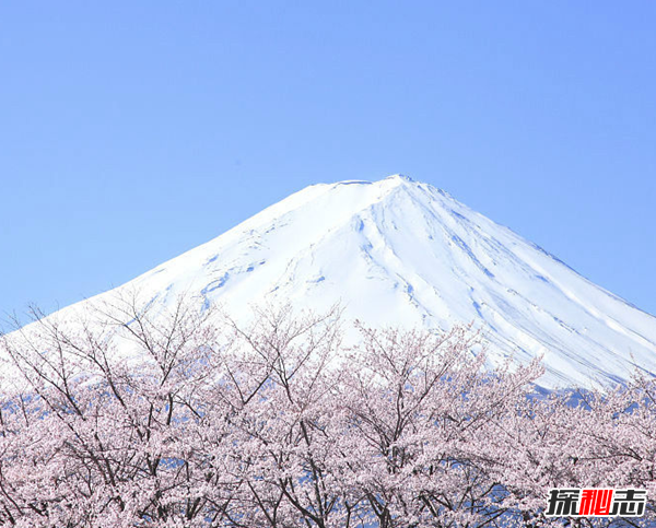 富士山下为什么恐怖?每年自杀死亡人数成百上千760 / 作者:UFO爱好者 / 帖子ID:105221