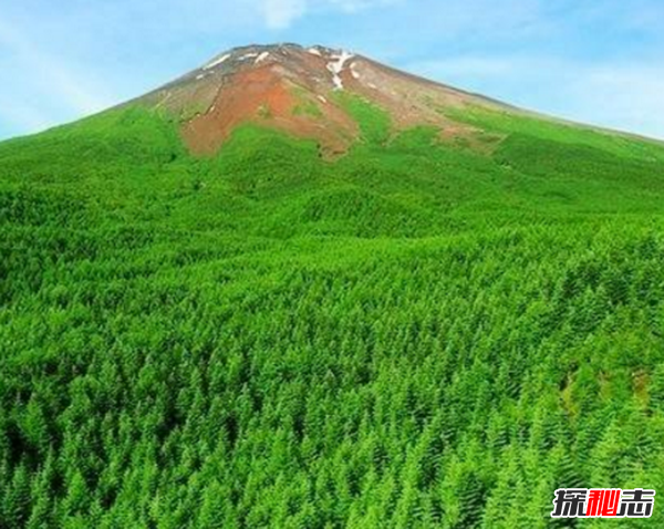 富士山下为什么恐怖?每年自杀死亡人数成百上千122 / 作者:UFO爱好者 / 帖子ID:105221