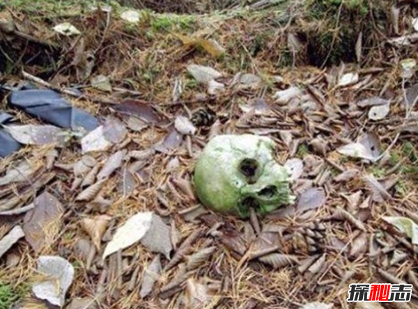 富士山下为什么恐怖?每年自杀死亡人数成百上千820 / 作者:UFO爱好者 / 帖子ID:105221