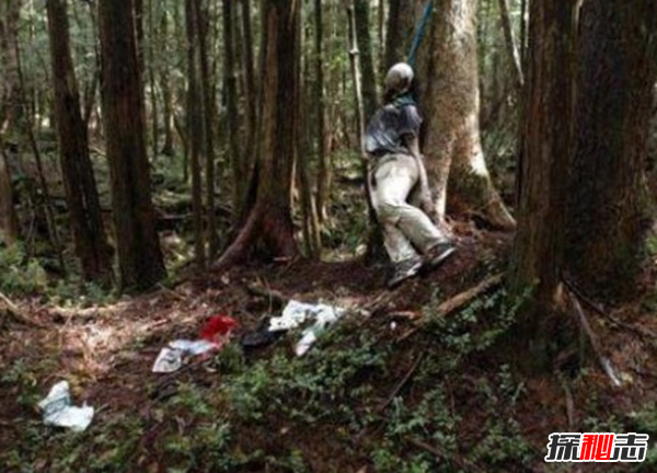 富士山下为什么恐怖?每年自杀死亡人数成百上千976 / 作者:UFO爱好者 / 帖子ID:105221