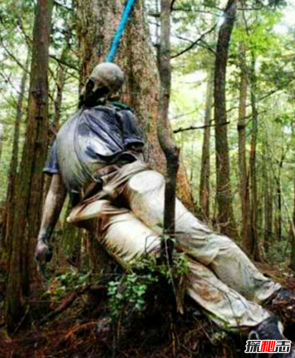富士山下为什么恐怖?每年自杀死亡人数成百上千834 / 作者:UFO爱好者 / 帖子ID:105221