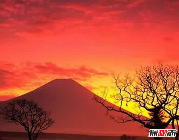 富士山下为什么恐怖?每年自杀死亡人数成百上千81 / 作者:UFO爱好者 / 帖子ID:105221