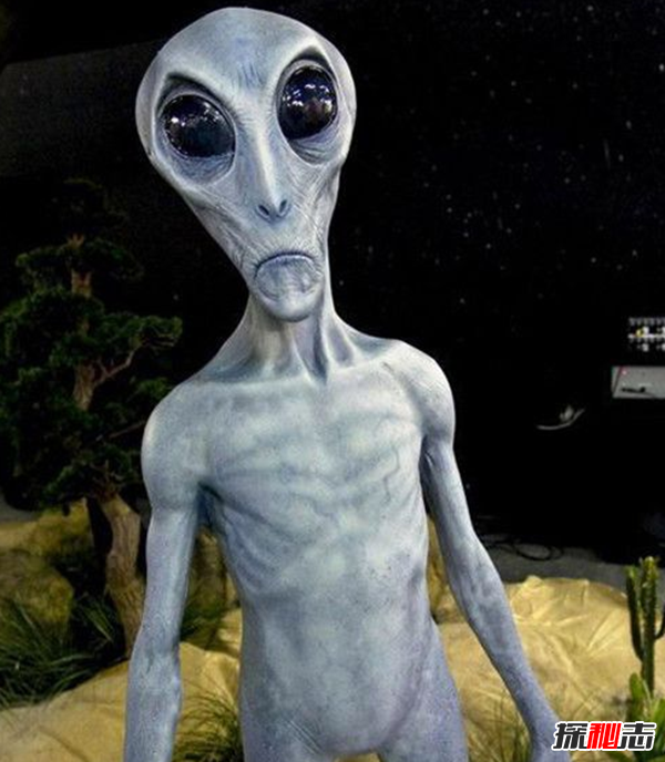 盘点十大神秘外星人之谜,解剖外星人影片引起轰动245 / 作者:UFO爱好者 / 帖子ID:98203
