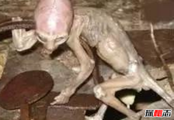 盘点十大神秘外星人之谜,解剖外星人影片引起轰动328 / 作者:UFO爱好者 / 帖子ID:98203