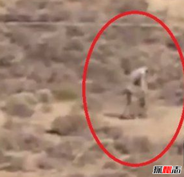 外星人隐居中国之谜，目击者通过测谎实验(是真是假)69 / 作者:UFO爱好者 / 帖子ID:98180