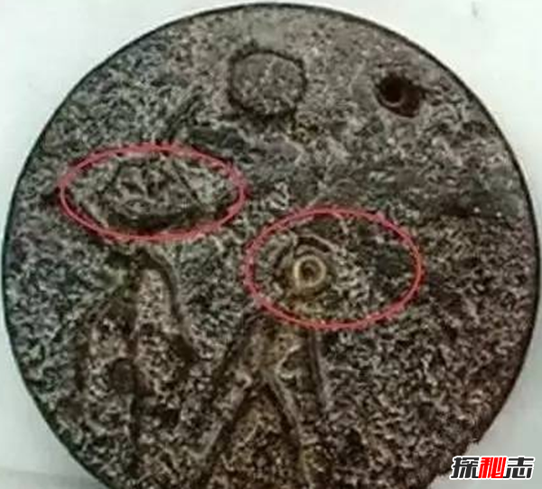 印度村民挖到迷你外星人,模样怪异有手有脚眼睛突出36 / 作者:UFO爱好者 / 帖子ID:98198