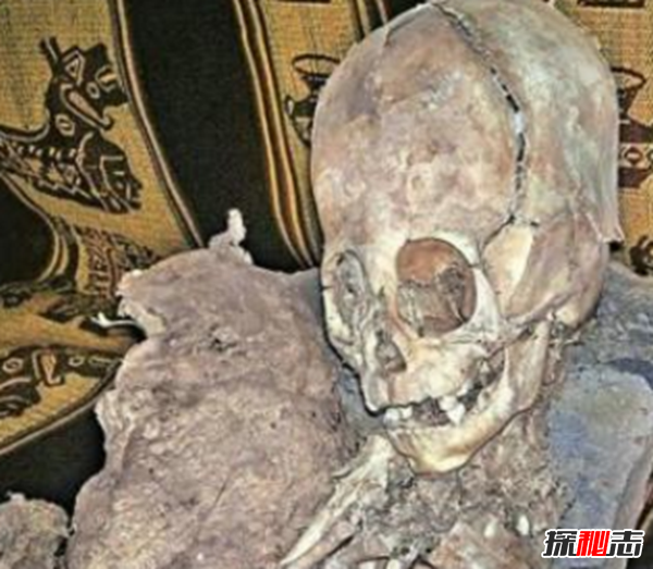 印度村民挖到迷你外星人,模样怪异有手有脚眼睛突出121 / 作者:UFO爱好者 / 帖子ID:98198