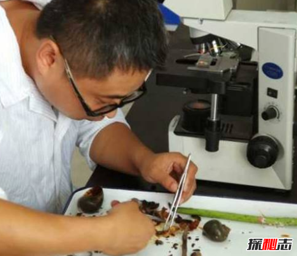 胸部寄生虫是什么?怎么辨别皮肤有寄生虫(严重会危及生命)892 / 作者:UFO爱好者 / 帖子ID:105075