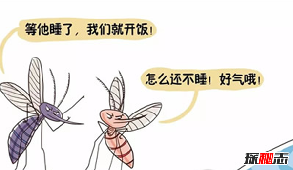 吸髓蚊存在吗?专门吸食人脑髓的吸髓蚊(杜撰不存在的生物)513 / 作者:UFO爱好者 / 帖子ID:105070