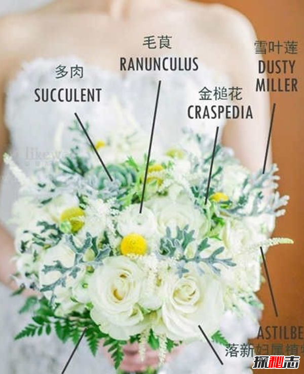 新娘为啥要拿捧花?真相让人崩溃(借花香遮掩身上难闻的臭味)23 / 作者:UFO爱好者 / 帖子ID:105012