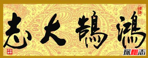 鸿鹄是什么鸟?北大校长致辞念错鸿鹄引发热议314 / 作者:UFO爱好者 / 帖子ID:105014