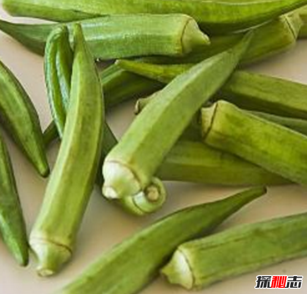 秋葵是什么东西?不要再被秋葵忽悠了真相在这(蔬菜之王)86 / 作者:UFO爱好者 / 帖子ID:104977