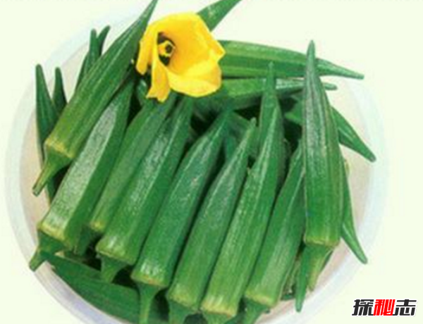 秋葵是什么东西?不要再被秋葵忽悠了真相在这(蔬菜之王)804 / 作者:UFO爱好者 / 帖子ID:104977