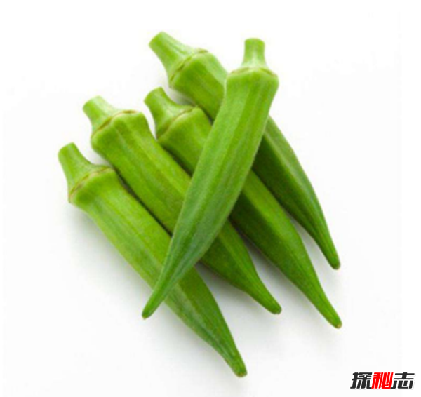 秋葵是什么东西?不要再被秋葵忽悠了真相在这(蔬菜之王)611 / 作者:UFO爱好者 / 帖子ID:104977