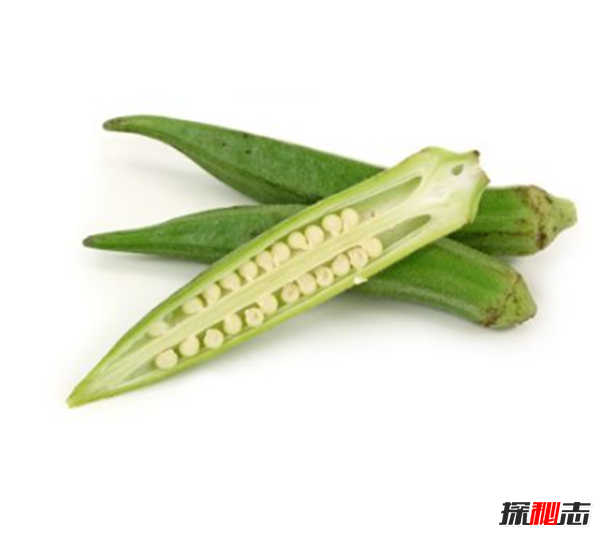 秋葵是什么东西?不要再被秋葵忽悠了真相在这(蔬菜之王)703 / 作者:UFO爱好者 / 帖子ID:104977